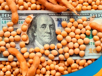 dolar soja