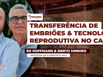 Ed Hoffmann