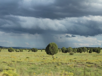 Clima