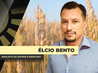 elcio