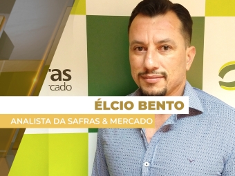 elcio bento thumb site