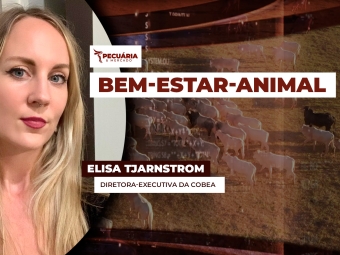 Elisa