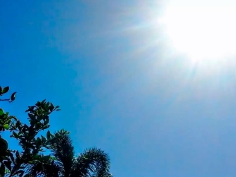 Sol