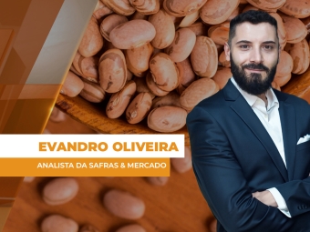 feijao site
