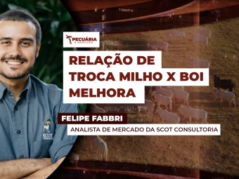 felipe