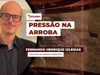 FERNANDO