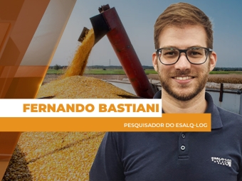 fernando-destaque