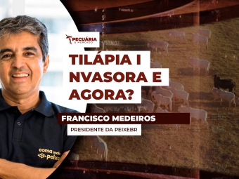FRANCISCO - THUMB 1
