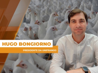 frango site