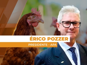 frango site