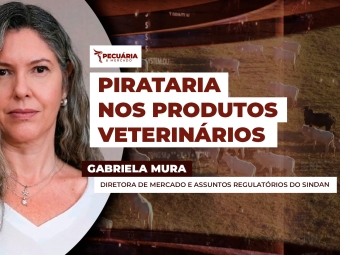 gabriela