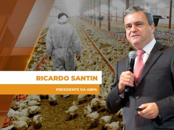 granjeiros st