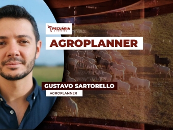 GUSTAVO