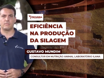 gustavo