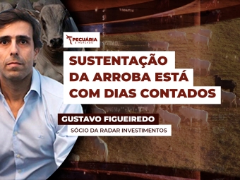 gustavo