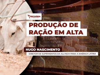 HUGO 3