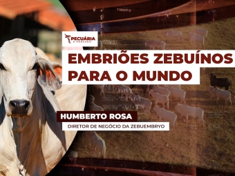 humberto