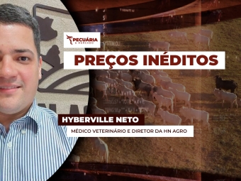 hyber