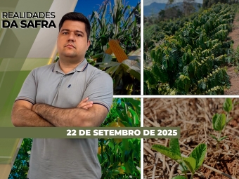 íntegra 22-09