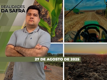 íntegra 27-08