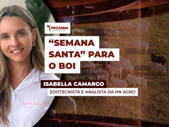 isabella