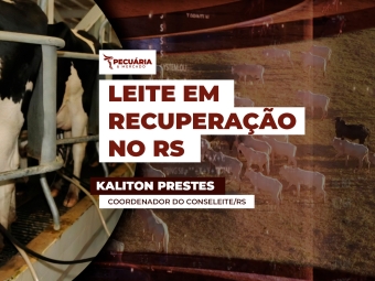 KAKITON