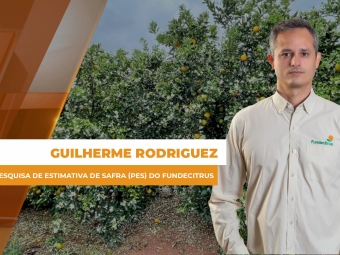 Laranja SITE