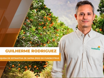 Laranja SITE