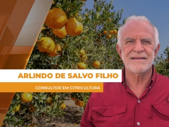 laranja - site