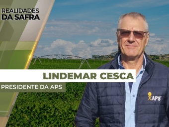 lidemar