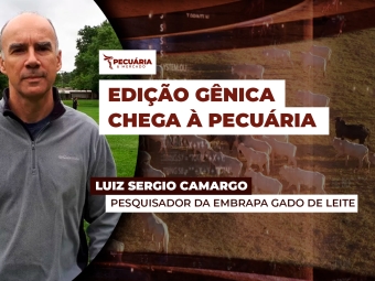 Luiz-Sergio-Camargo