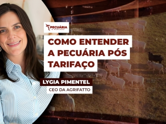 Lygia
