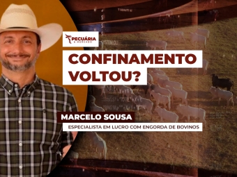 MARCELO