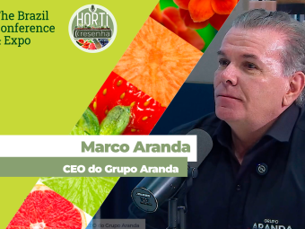 MARCO ARANDA SITE