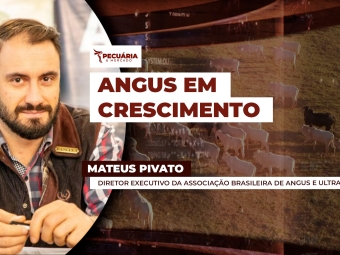 MATEUS