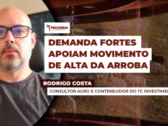 mercado-do-dia