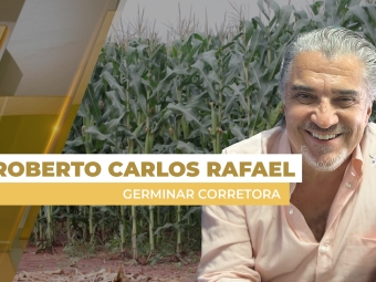 milho site