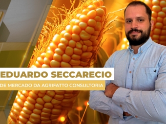 milho site
