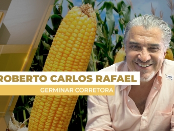 milho site