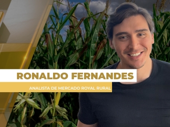 milho site