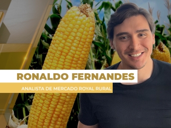milho site