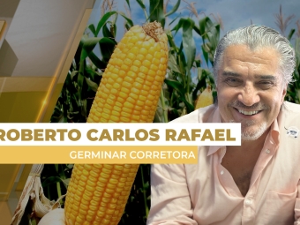 milho site
