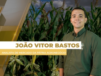 milho site