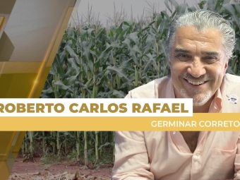 milho site