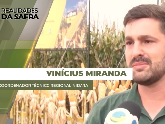 miranda