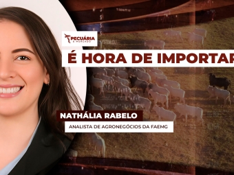 natalhia