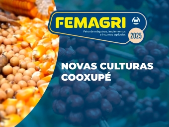 NOVAS-CULTURAS