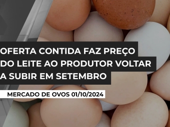 ovos