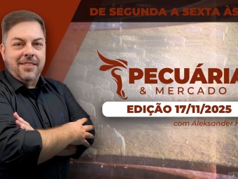 PACUARIA 12-11