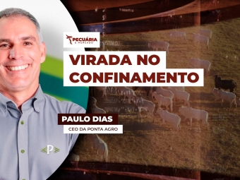 paulo dias